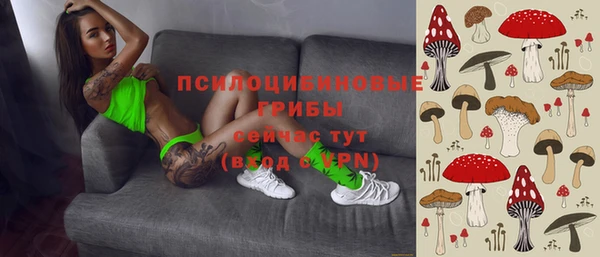 хмурый Рославль