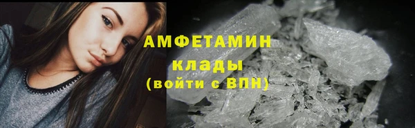 a pvp Новозыбков
