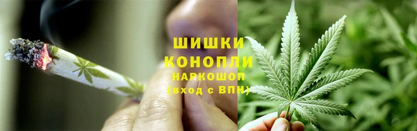 хмурый Рославль